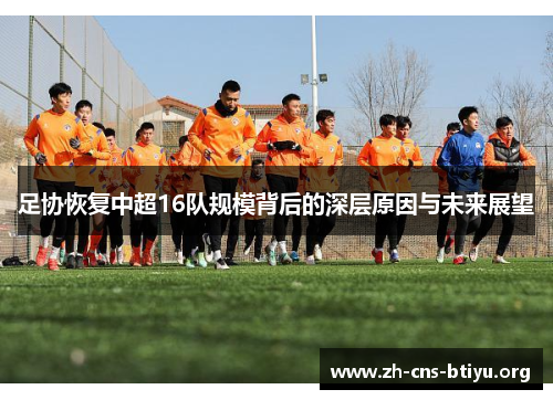 足协恢复中超16队规模背后的深层原因与未来展望